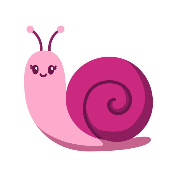 Cute smiling snail isolated on white background Cute smiling snail isolated on white background. Flat cartoon funny snail vector illustration for childrens book and stickers. giant african land snail stock illustrations