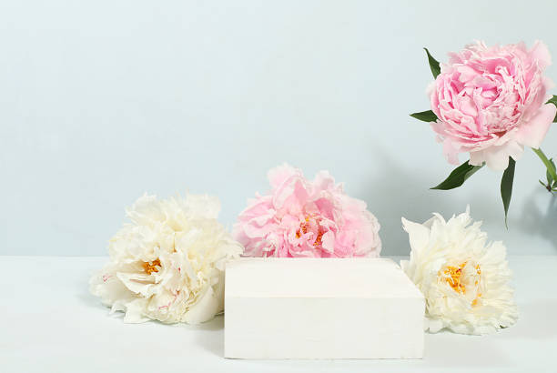 istock Minimal floral composition.Abstract background with empty podium and peonies flowers,empty showcase for display or presentation of cosmetic products,postcard with place for text, 1506334855