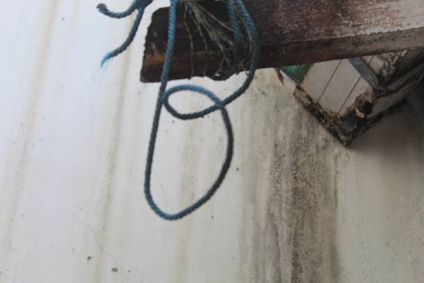 istock blue rope tied in wood 1506356383