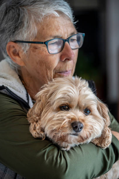 istock Older woman finds comfort in her dog 1506411556