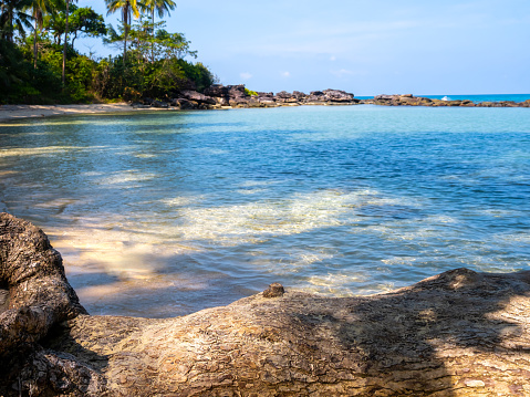 Beach scene, summer background. Close-up big tree trunk on the sand beach, coastline with tropical trees on rock hill, sea water and blue sky on sunny day. Bright seascape bay view.