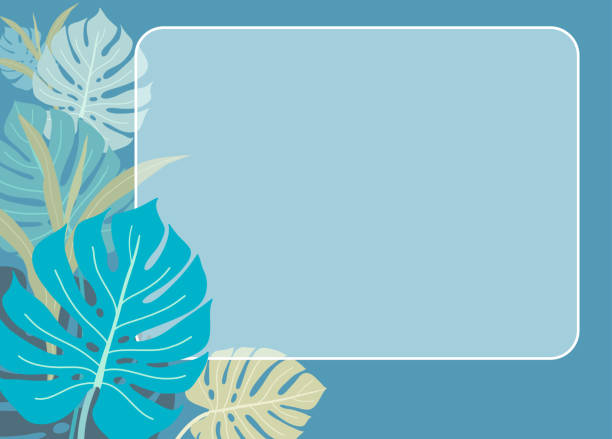 istock Monstera leaves and plant tropical with horizontal frame banner, room for text. Vector design illustration. 1506535667