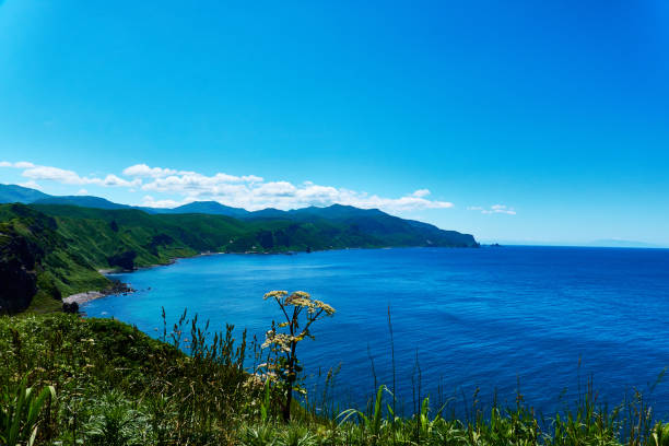 istock Scenic view of ocean 1506547202