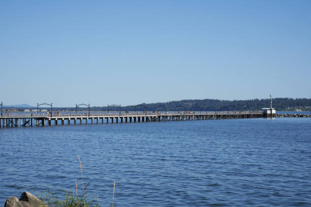 istock White Rock Pier in the summer 1506548996