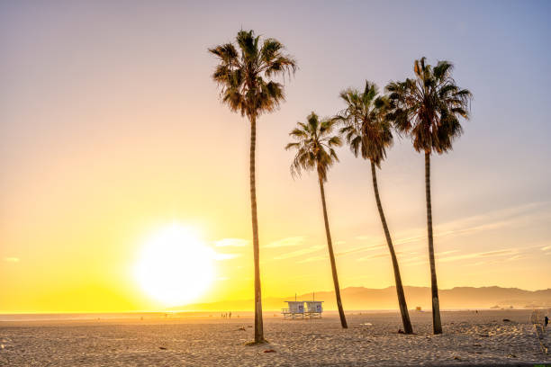 istock Venice Beach in Los Angeles 1506550609