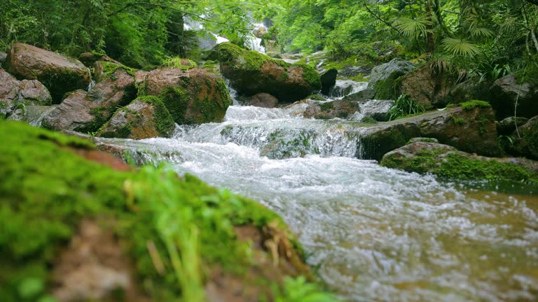 Spring water flows over rocks in mountain