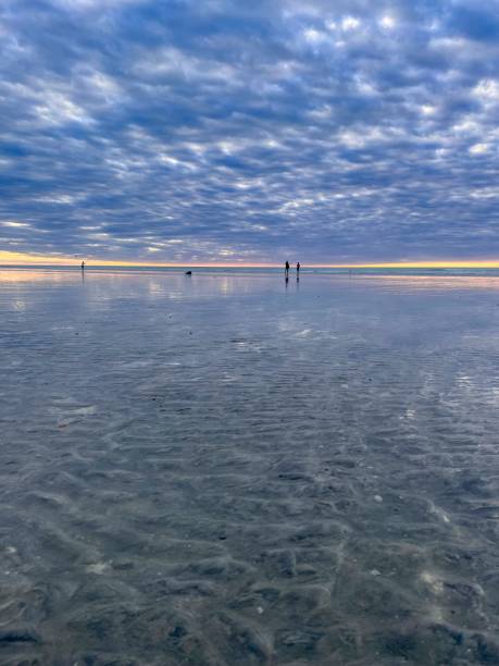 istock Beautiful Eighty Mile Beach, Western Australia at low tide 1506605862