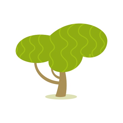 Subtropical tree with cloudlike foliage crown. Vector illustration