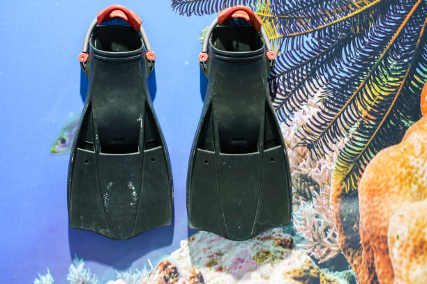 diving equipment fins