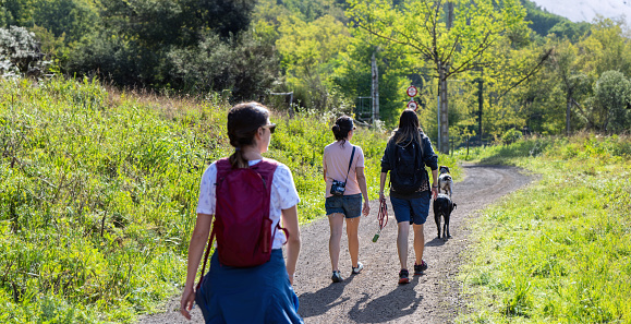 Three alternative summery looking young women and their dogs walking on an easily accessible mountain path in the volcanic area of Olot on a sunny day with all the green vegetation and trees at noon.