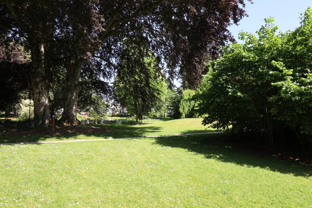 istock Sedan - Botanical garden 1506642623