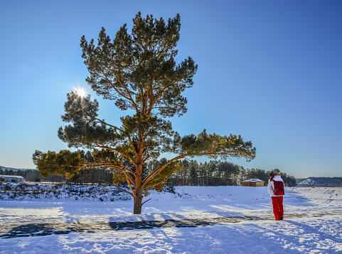 A woman standing with lonely pine tree at winter park in Harbin, China.