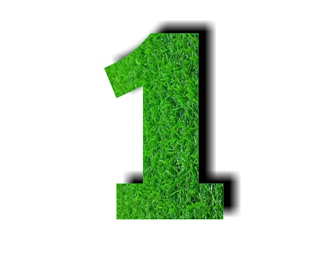 Number one made of green trees sitting on white background. Horizontal composition with clipping path and copy space. Sustainability concept.
