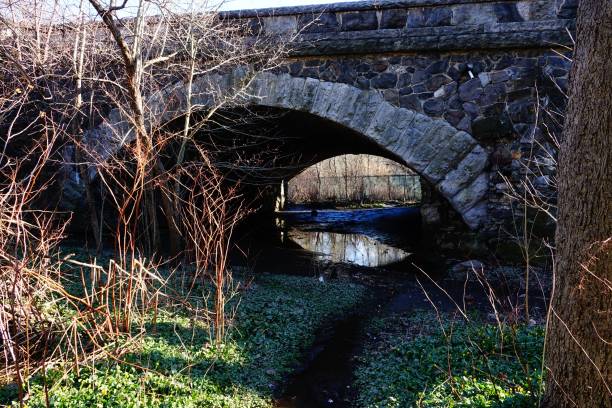 istock The Bronx River And Northern Bronx Park 1506705475