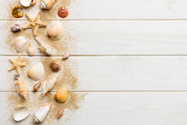 istock Summer time concept Flat lay composition with beautiful starfish and sea shells on colored table, top view with copy space for text 1506709855
