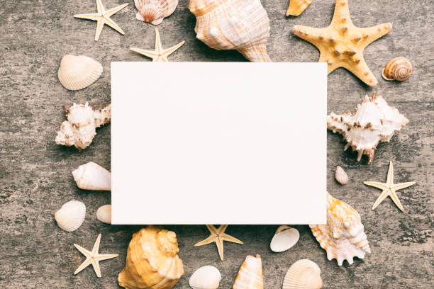 istock Summer time concept with blank greeting card and blank white paper on colored background. Seashells from ocean shore in the shape of frame separated with space for text top view 1506709880