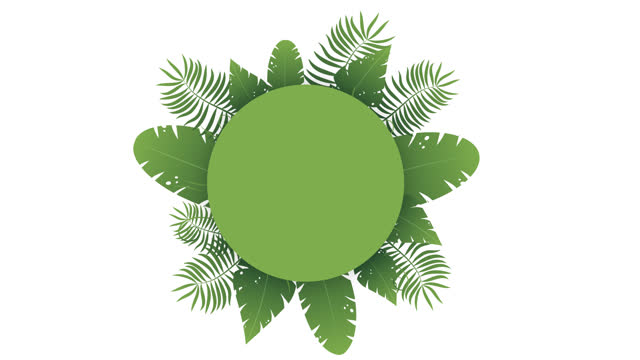 Motion graphic of Various types of Green leaves in the concept of the jungle with circle space for text.