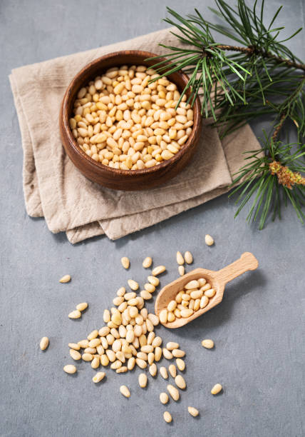 istock Pine nuts in a bowl  and a scattered on a blue background with branches of pine needles. The concept of a natural, organic and healthy superfood and snack. 1506726220