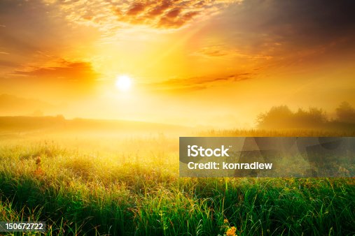 istock Colorful and Foggy Sunrise over Grassy Meadow - Landscape 150672722