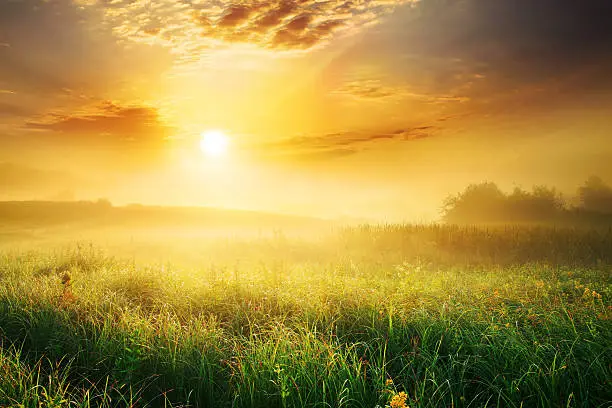 Photo of Colorful and Foggy Sunrise over Grassy Meadow - Landscape