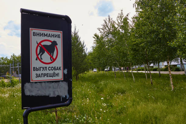 istock Photograph sign sign dog walking is prohibited. 1506763618