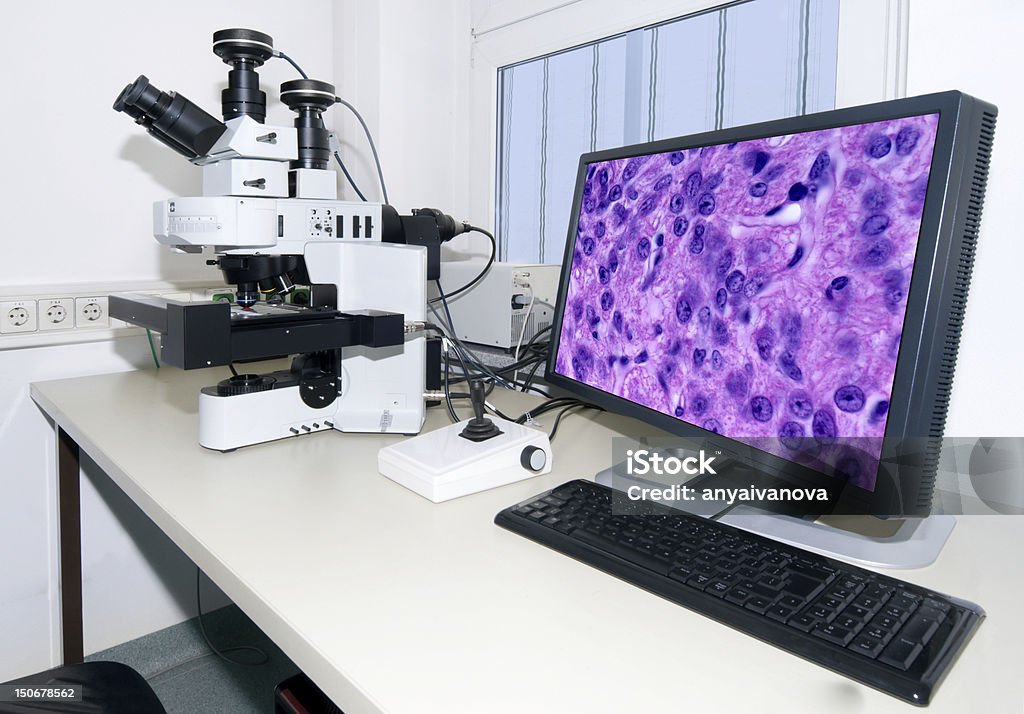 Microscópio moderno com um sistema de imagens digitais - Foto de stock de Histologia royalty-free