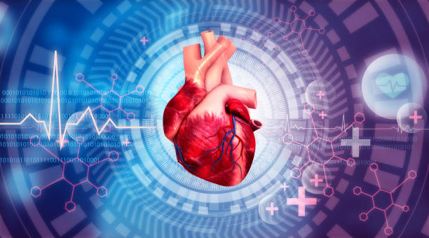 istock Human heart on modern medical background 1506789641