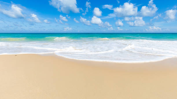 istock Sea beach wave colorful sky with clud summer vacation nature landscape 1506796384