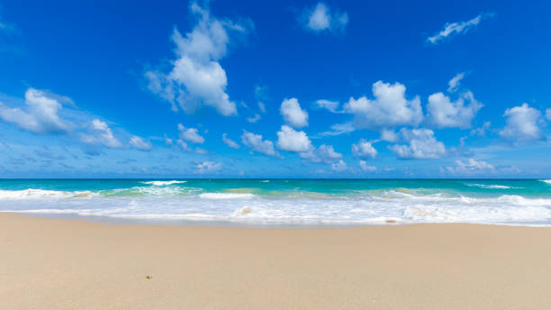istock Sea beach wave colorful sky with clud summer vacation nature landscape 1506796385