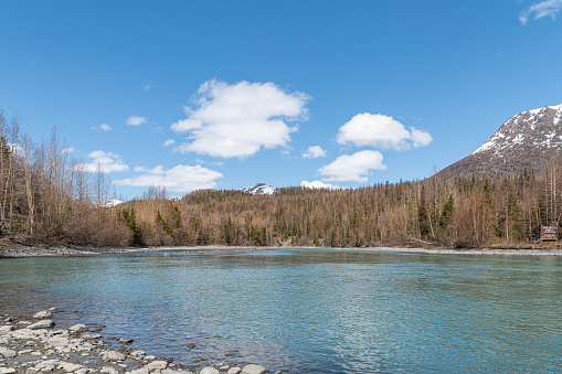 The Kenai River East of Sterling in Alaska, USA.