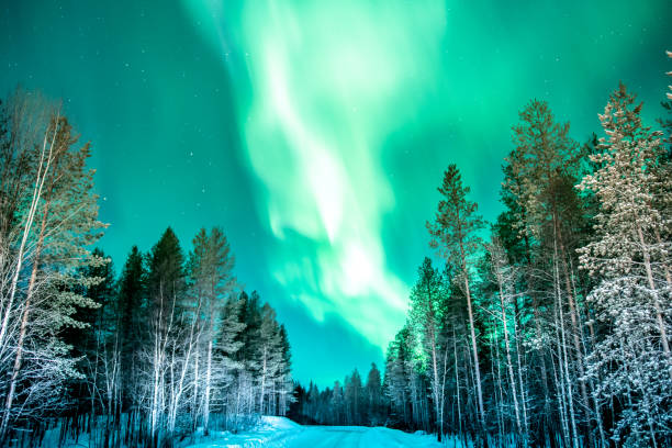 istock Green Northern Lights in wave pattern over trees in north Karelia 1506812528