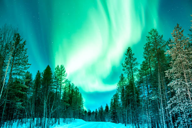 istock Green Northern Lights in wave pattern over trees in north Karelia 1506813638