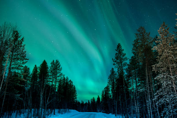 istock Green Northern Lights in wave pattern over trees in north Karelia 1506813676