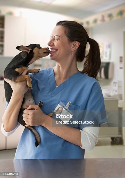 Kleine Hund Lecken Weibliche Tierarzt Stockfoto und mehr Bilder von Tierarzt - Tierarzt, Hund, Lecken