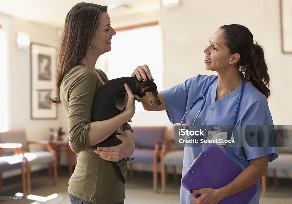 Weibliche Tierarzt sprechen mit Hund Besitzer - Lizenzfrei Tierarzt Stock-Foto