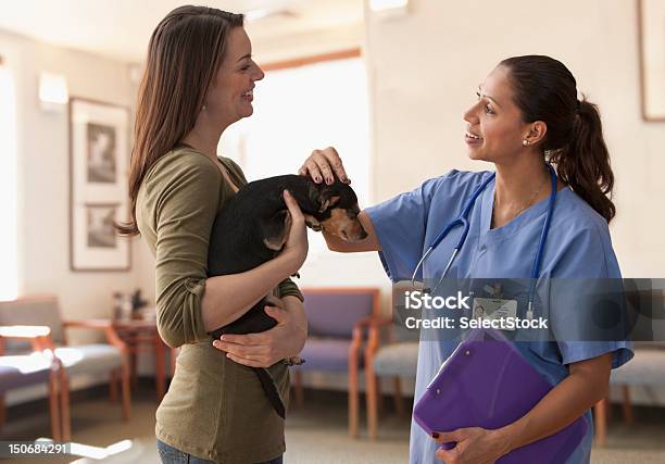 Weibliche Tierarzt Sprechen Mit Hund Besitzer Stockfoto und mehr Bilder von Tierarzt - Tierarzt, Haustier, Tier-Streicheln