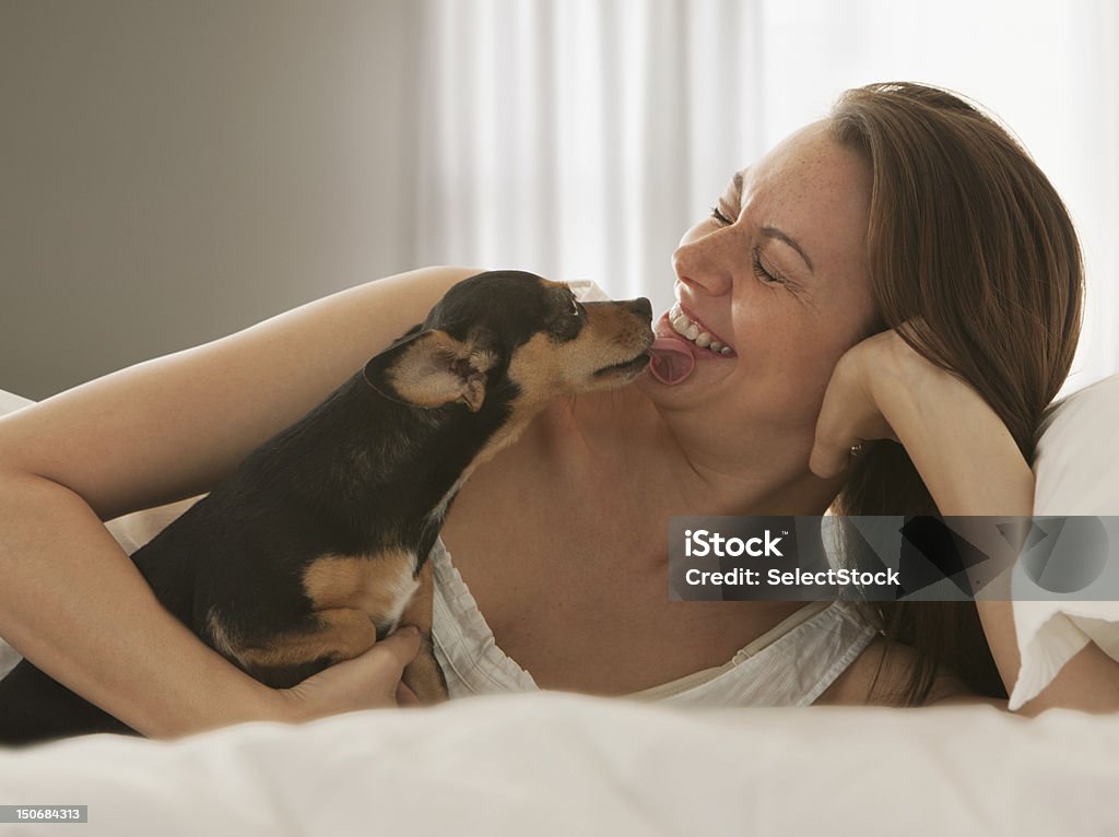 Собака облизывает. Женщина с собакой в постели. Собака отлизывает женщине. Собака облизывает девочку. Животные лижут девушке