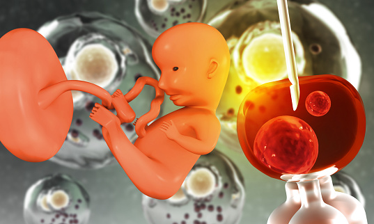 Human fetus and In vitro fertilization. 3d illustration