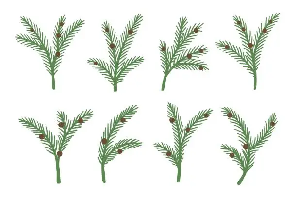 Vector illustration of Set of Christmas tree, pine spruce or fir green branches with cones for holiday decoration