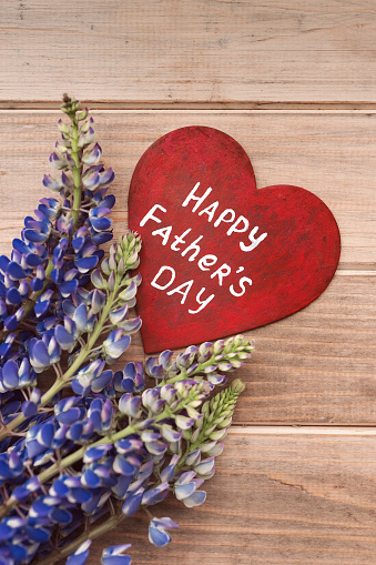 wooden red heart with white inscription happy father's day on brown old background with violet flowers lupine, vertical