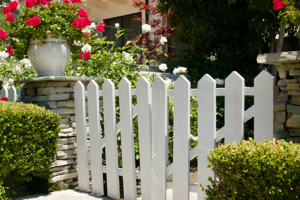 istock Old fashioned white wood picket fence and garden gate 1506943446
