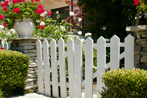 Old fashioned white wood picket fence and garden gate