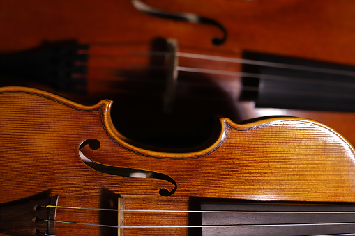 Cello and violin close-up. Musical instrument concept.