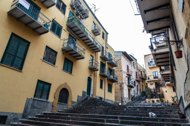 istock Cats on a street in Agrigento, Sicily, Italy 1507014823