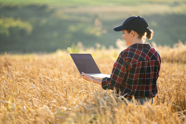 istock Woman farmer working with laptop on wheat field. 1507016900