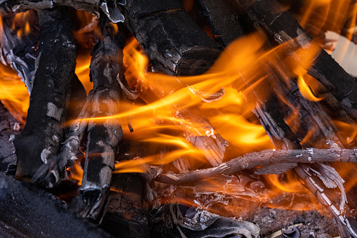 Burning firewood in the brazier. Hot, bright forest fire with burning branches and ashes