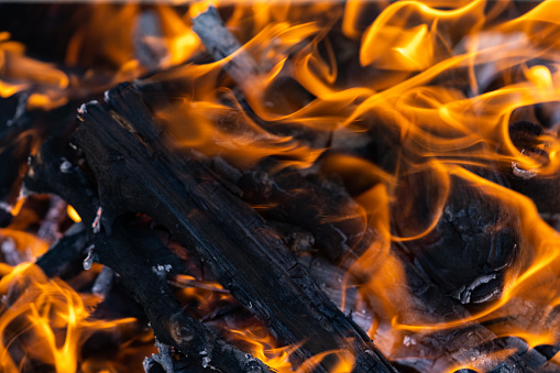 Burning firewood in the brazier. Hot, bright forest fire with burning branches and ashes