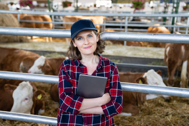 istock Woman farmer with tablet at a dairy farm 1507043171