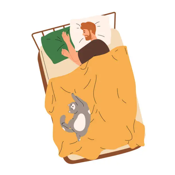 Vector illustration of Happy man sleeping in bed with cute cat asleep and lying together with him.