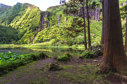 Paisaje de Azores en Isla de Flores. Cascadas de Pozo da Alagoinha. Portugal photo